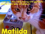 Click image for larger version

Name:	Matilda Not Interested In TSEC's Oscillator.jpg
Views:	475
Size:	850.1 KB
ID:	368