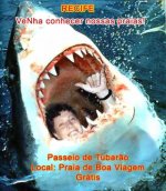 Recife Shark tour.jpg