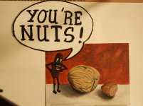you_are_nuts_982525.jpg