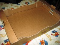 cardboard box.jpg