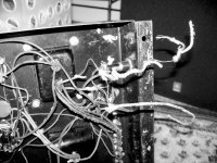 AMI DD amp frayed wires.JPG