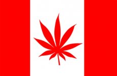 canada_marijuana_flag.jpg