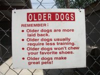 Older Dogs.jpg