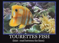 Tourettes Fish.jpg