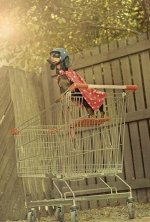 Dachshund in shopping cart - SuperHero.jpg