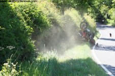 Ducati - mowing grass.jpg