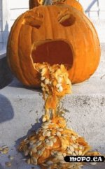 puking-pumpkin-drunk-793171.gif.jpg