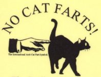 Cat farts - No Cat Farts poster.jpg