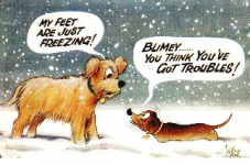 Dachshund in the snow cartoon.png