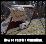 Canadian - How to catch a Canadian.jpg