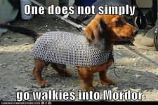 Mordor - dachshund armor.jpg
