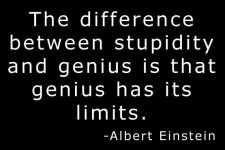 Albert Einstein - Stupidity.jpg