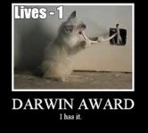 Dumbass - Darwin Award - Kitty Chewing on Wire.jpg