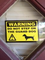 Do not Step on the Guard Dog Decale.jpg