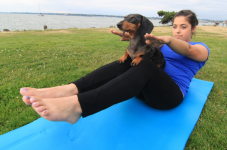 Dachshund - Zen Dog Doga yoga.png