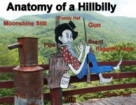 Anatomy of a Hillbilly.jpg