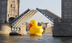giant-rubber-duck.jpg