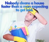clean-house-500x434.jpg