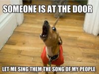 let-me-sing-you-the-song-of-my-people-funny-dogs.jpg
