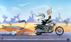 Wile E Coyote - Harley Davidson......jpg