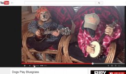 Dogs Play Bluegrass - YouTube.jpg