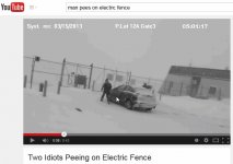 Two Idiots Peeing on Electric Fence - YouTube.jpg