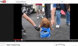 Beer Guard Dog - YouTube.jpg
