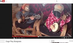 Dogs Play Bluegrass - YouTube.jpg