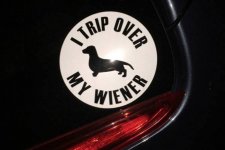 I Trip Over My Wiener.jpg