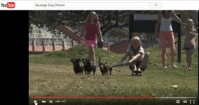 Sausage Dog Chariot - YouTube.jpg