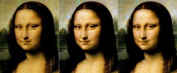 mona lisa face - combinded copy.jpg