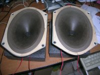 1 the two elliptical  speakers.JPG