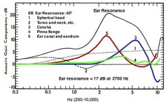 Ear-resonance.jpg