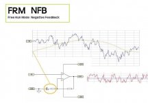 frm nfb graph.jpg