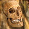 poynton's Avatar