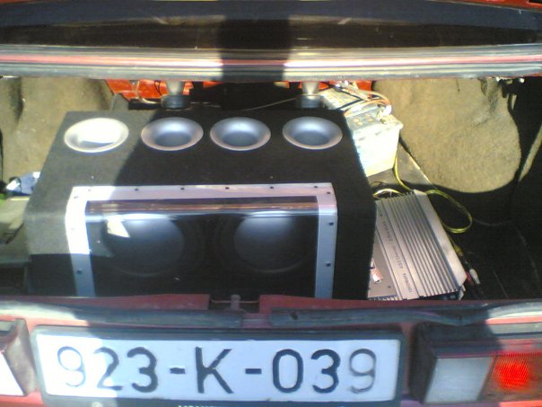 trunk