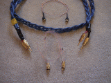 BT14.gif