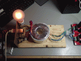 DSC00620.gif