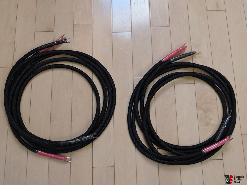 Gabriel_Gold_Rapture_V3_Speaker_Cables_01