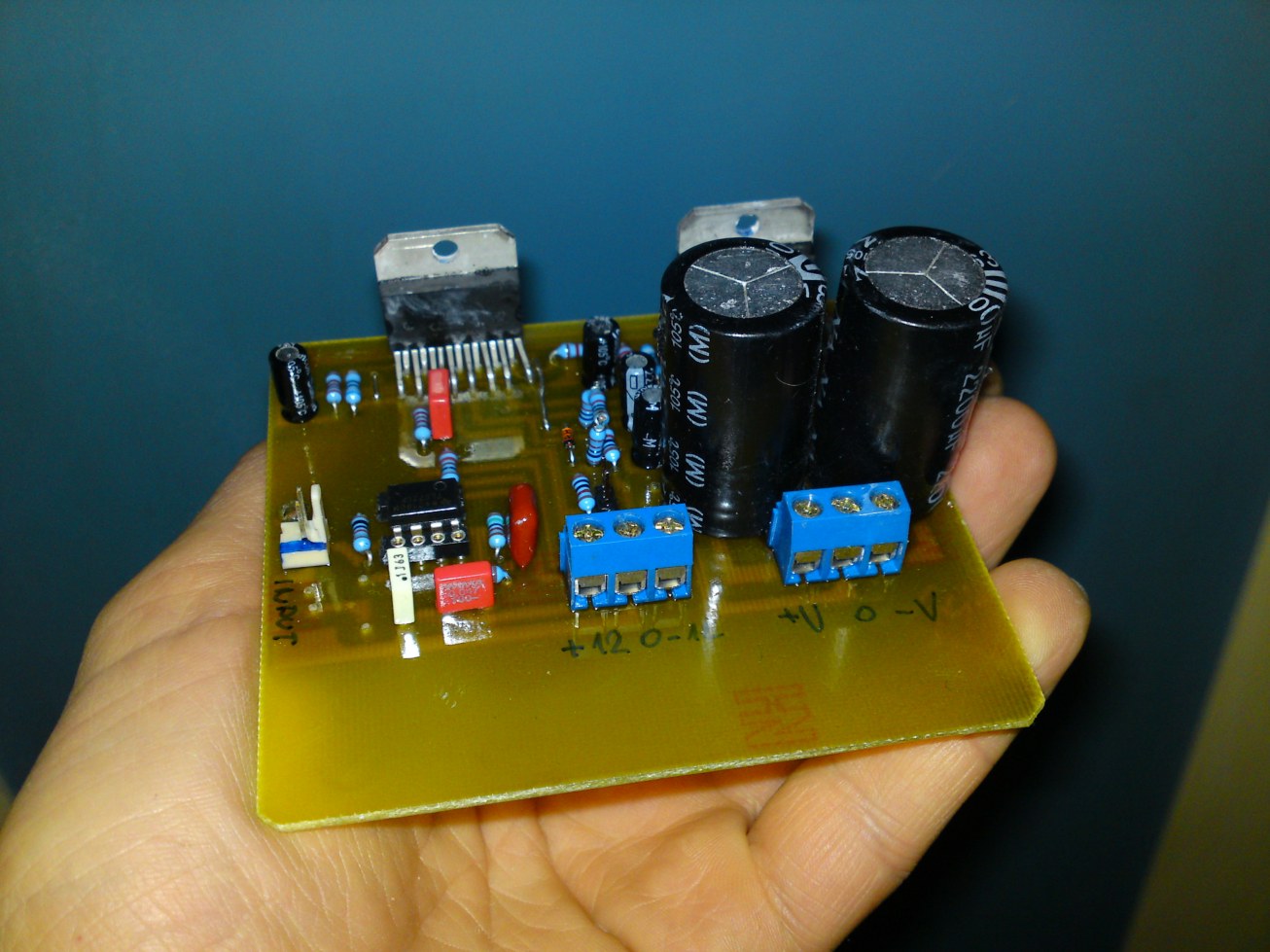 stardi_web_bridged_tda7294_subwoofer_crossover