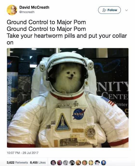 0TnNO47.jpeg