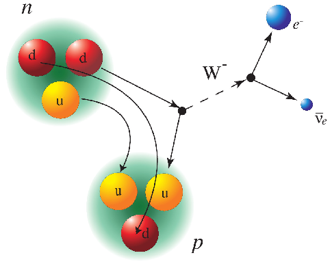 1 beta decay of neutron 11.3 MeV.png