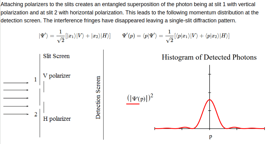 1 Polarised Photons.png