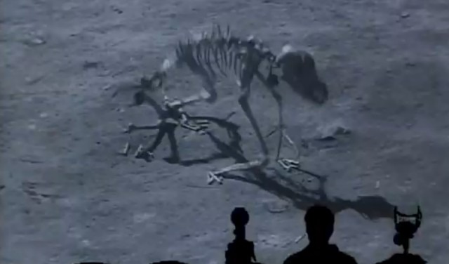 1 Sparky the Dog Dead.jpg