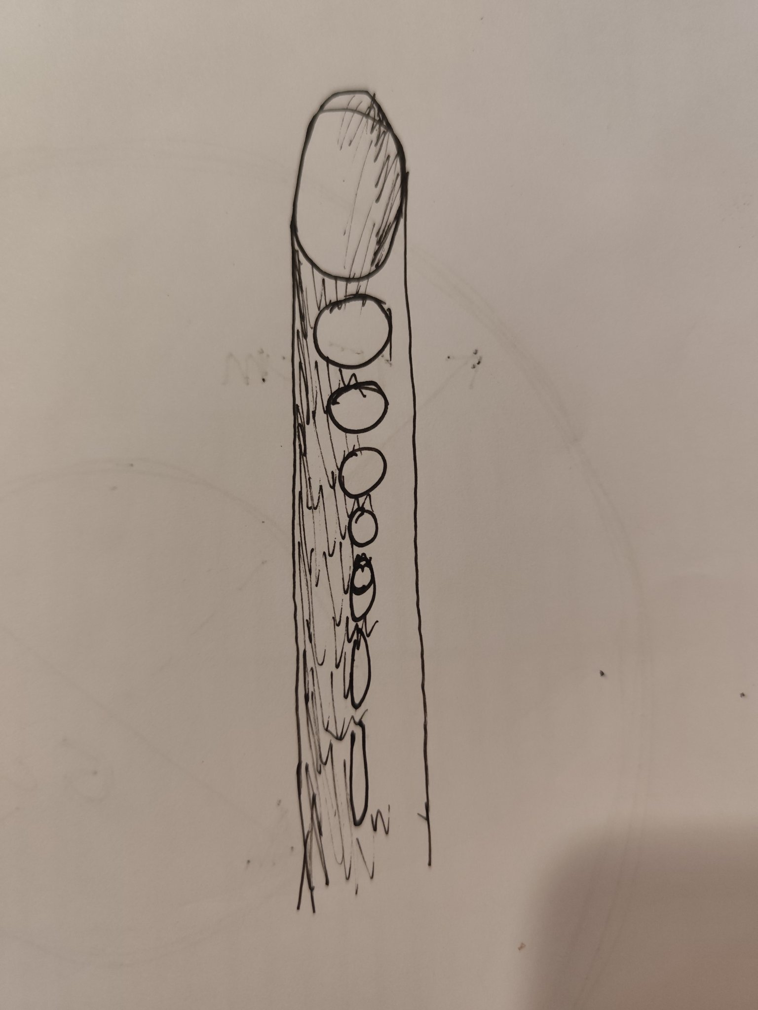 1000002684.jpg
