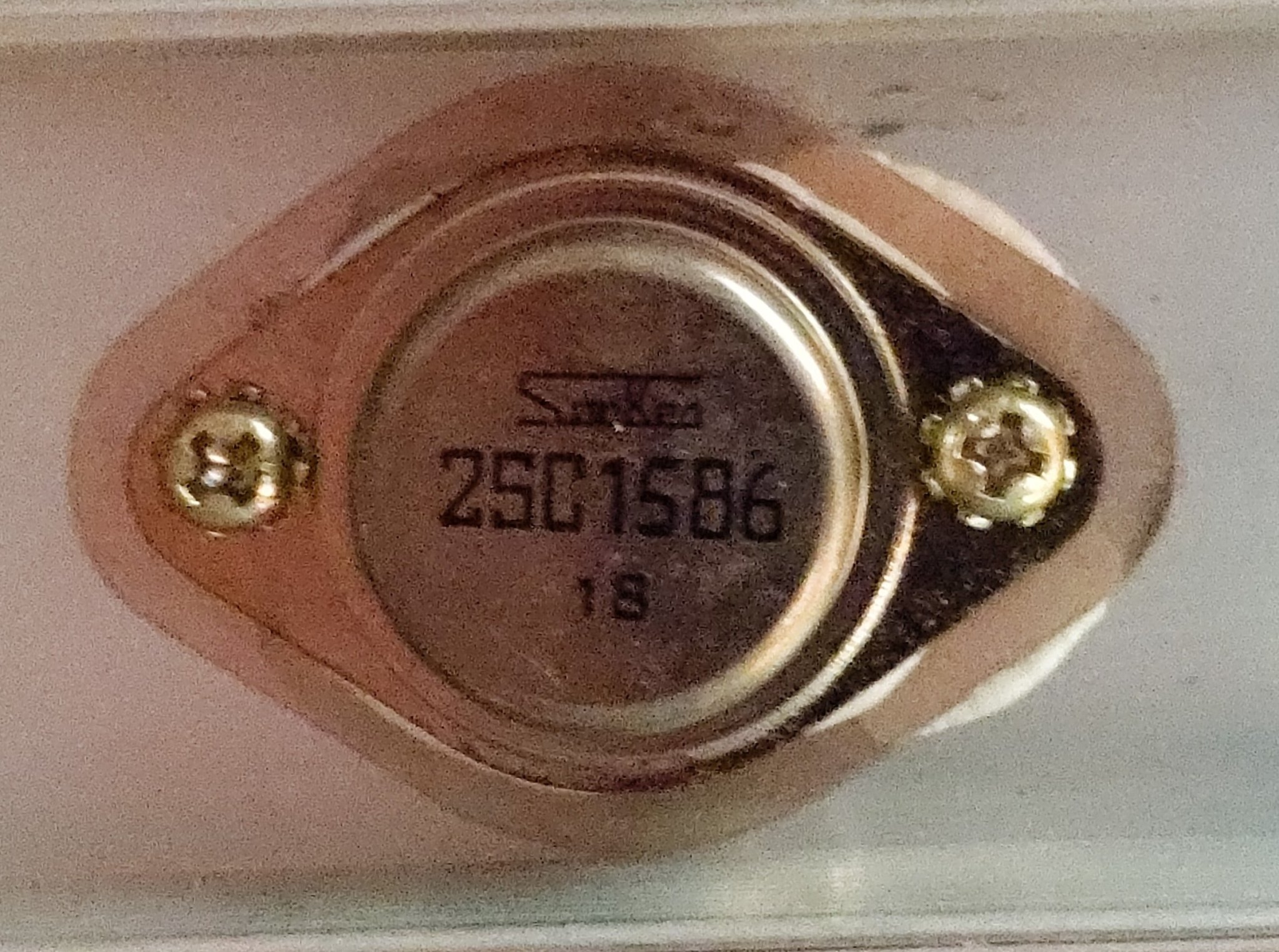 1000004955.jpg