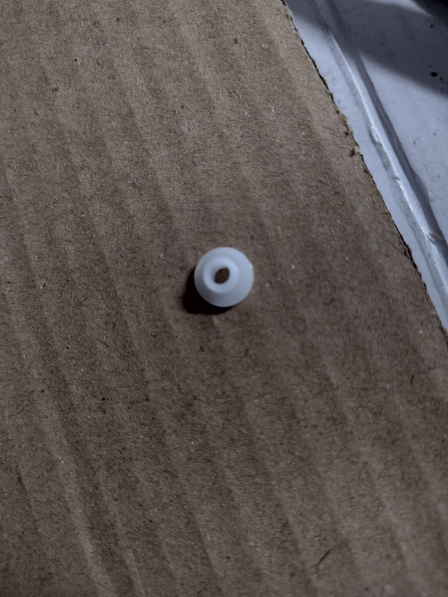 1000009259.jpg