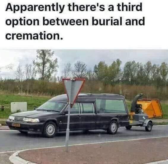 1000009291.jpg