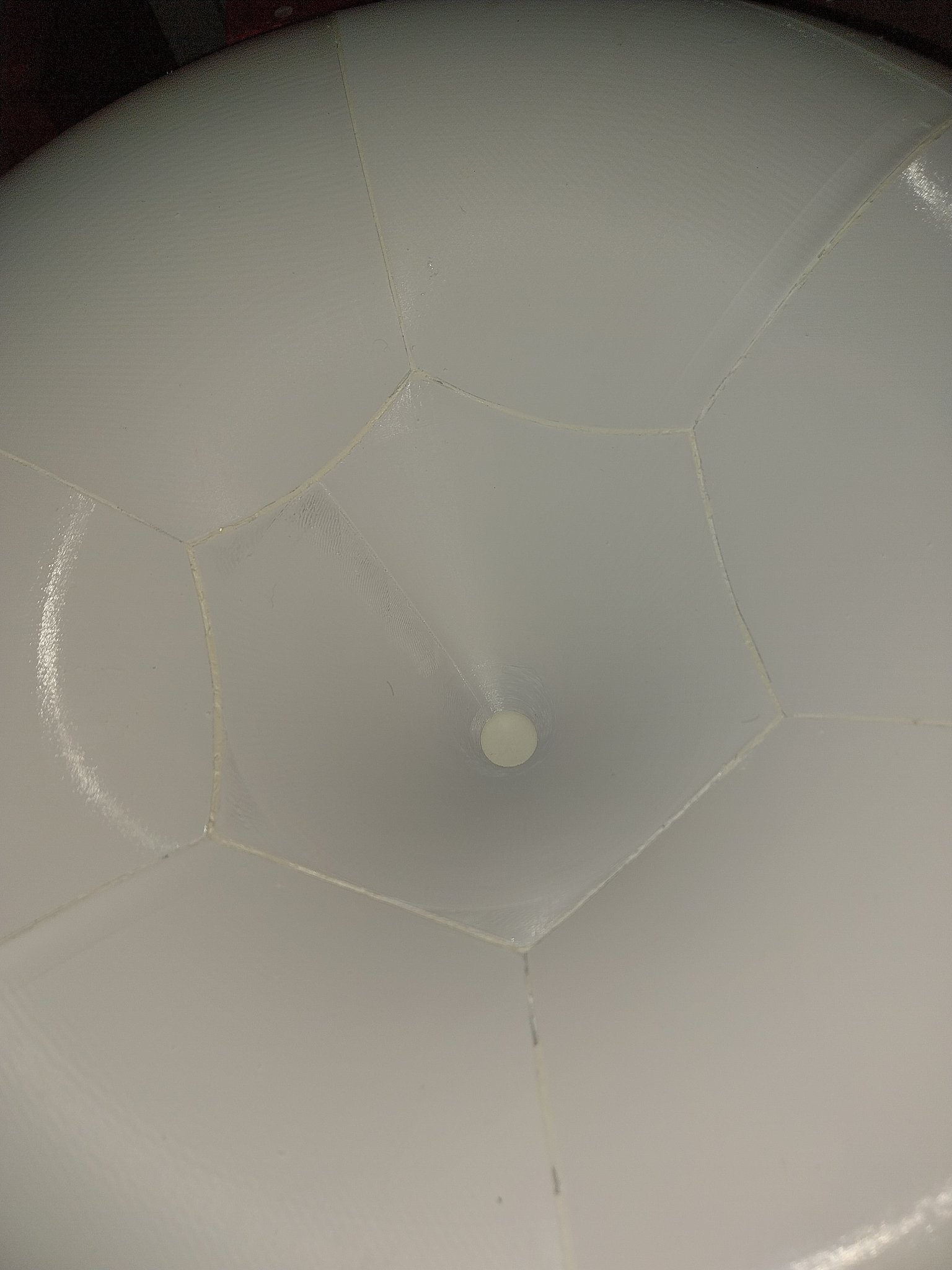 1000013836.jpg