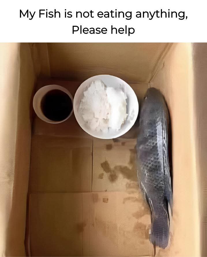 1000021240.jpg